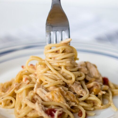 https://www.recipessimple.com/wp-content/uploads/2016/06/Slow-Cooker-Rotel-Chicken-Spaghetti-1-500x500.jpg