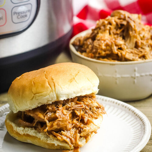 Instant Pot BBQ Pulled Pork - Recipes Simple